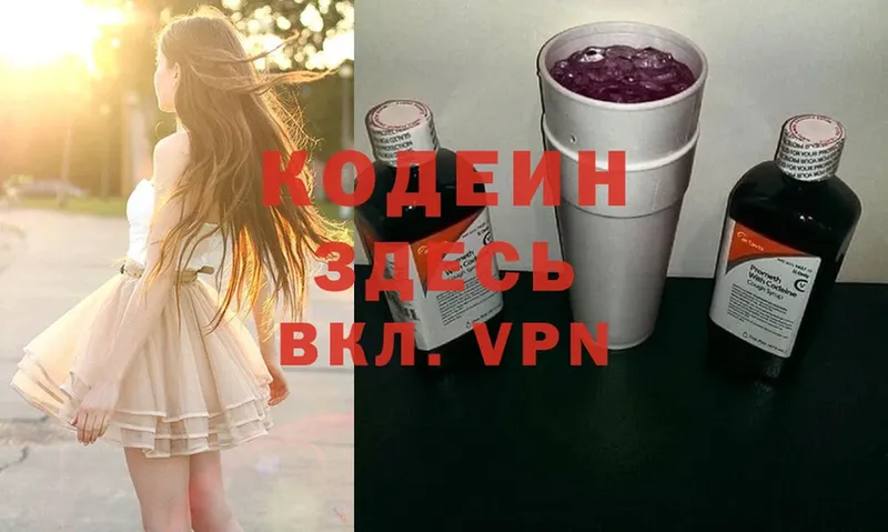 Кодеиновый сироп Lean Purple Drank  Алатырь 